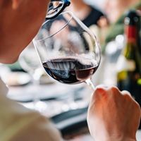 Comment devenir un expert en vin ?