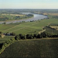 ZOOM REGION : A la découverte de l'appellation Margaux !