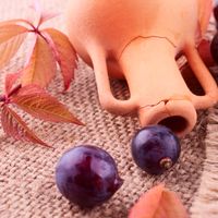 Le vin en amphore : une tendance qui ne date pas d'hier