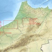 Domaine des Ouled Thaleb, la star des vins marocains
