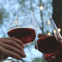Vin rouge léger : top 10 des bouteilles parfaites pour l'été à moins de 15€