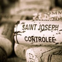 Les meilleurs accords mets et vin du Saint-Joseph