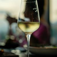 Les astuces pour rafra&icirc;chir son vin blanc