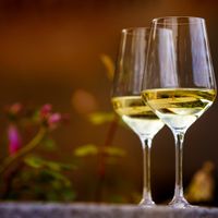 Les blancs d'Alsace : vins blancs fruit&eacute;s secs ou sucr&eacute;s ?