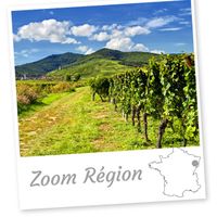 Alsace, Zoom région