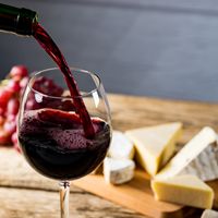 Bien servir et déguster les vins Saint Julien