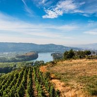 Louis Chèze, avis aux amateurs de vins du Rhône, ne pas s'abstenir !
