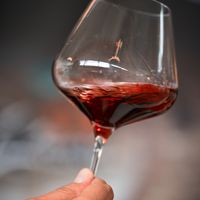 Les meilleurs accords mets & vin du Gigondas