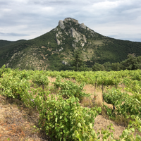 Domaine Sous la Montagne Le projet fou de Jeff Carrel & S&eacute;bastien Calduch