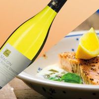 Saumon à l'oseille + Mâcon La Roche Vineuse