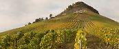 vin de savoie