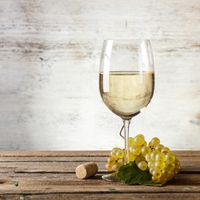 Tout savoir sur le Pouilly Fuissé