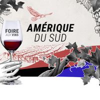 FOIRE AUX VINS 5 cuvées pour découvrir les vins d'Amérique du Sud