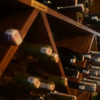 Les conseils pour aménager une bonne cave
