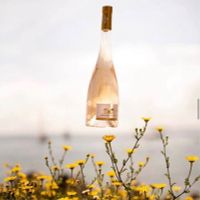 Ch&acirc;teau Sainte Marguerite, le calibrage de vins ros&eacute;s de gastronomie