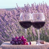 Les vins rouges des Coteaux d'Aix en Provence : de superbes vins d'été !