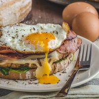 Recette croque madame & vin de Pinot Blanc