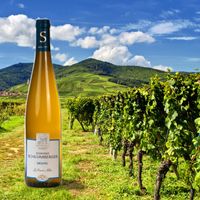 Le meilleur du Riesling : Les Princes Abbes Domaine Schlumberger