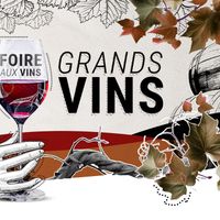 Foire aux vins : nos 5 coups de cœur GRANDS VINS et RARETÉS
