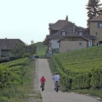 Domaine de La Croix, la perle des vins suisses