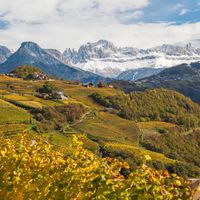 La face cach&eacute;e des vins de l'Arc Alpin