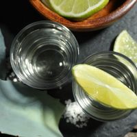 Tequila et Mezcal - Quelles différences ?