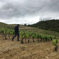PAROLES DE VIGNERONS : Jeff Carrel & Sébastien Calduch - Domaine Sous la Montagne