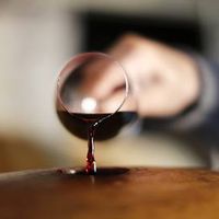 PORTRAIT DE VIGNERON : Domaine des Terres Dorées, le Beaujolais anti-conventionnel