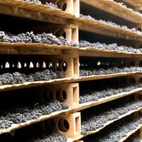Vin de paille, une curiosit&eacute; sucr&eacute;e du Jura