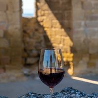 Châteauneuf-du-Pape rouge, la grandeur des vins du Rhône