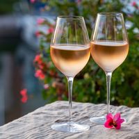 Alpilles rosé, toute la Provence Alpes Côte d'Azur est là !