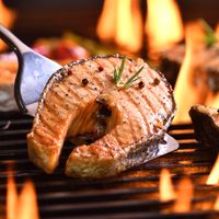 Recette darnes de saumon barbecue & vin d'Alpilles IGP