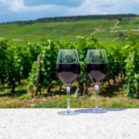Pauillac ou Margaux : lequel choisir ?