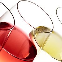Les vins par couleur, selon vos goûts