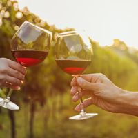  Pomerol ou Saint-Émilion : lequel choisir ?