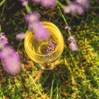 Le vrai du faux à connaître sur le vin nature
