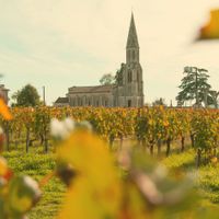 Pomerol : Quand les déguster ?
