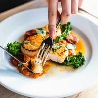 Noix St Jacques sauce ponzu & Vin blanc espagnol
