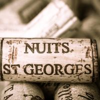 Bien servir et déguster le Nuits Saint Georges AOC