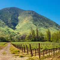Comprendre les appellations des vins d'Am&eacute;rique du Sud