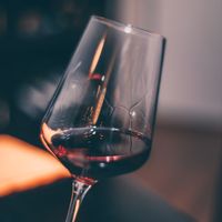 Volnay ou Pommard : lequel choisir ?