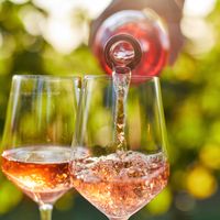 Le vin rosé : du vin blanc mélangé au vin rouge ?