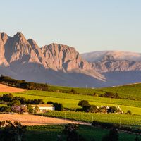 Les vins de r&eacute;gion de Stellenbosch, un tr&eacute;sor de l'Afrique du Sud