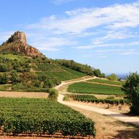 Tout savoir sur l’AOC Viré-Clessé
