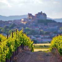 Tout savoir sur les vins rosés Languedoc AOC