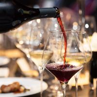 Pommard AOC ou Aloxe Corton AOC, lequel choisir ?