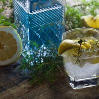 Comment faire un gin tonic ?