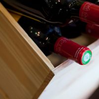Zoom sur la vente de vins en primeurs à Bordeaux