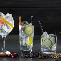 Quel verre pour le gin ?