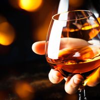 Comment bien servir et déguster le Cognac ?
